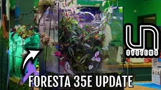 FORESTA 35E PALUDARIUM UPDATE