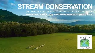 Stream Conservation Experts in Montgomery County Virginia - Endangered Species, Roanoke logperch