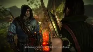 The Witcher 2 - The Endrega Contract