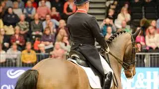 WOW Saddles - Richard Bubblingh Olympia 2017