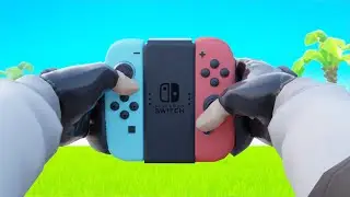 Nintendo Switch Handcam ! (Motion Controls)