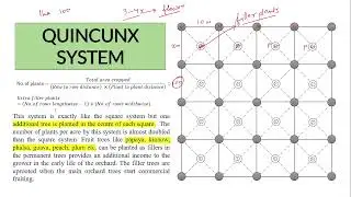 Planting system (calculation)