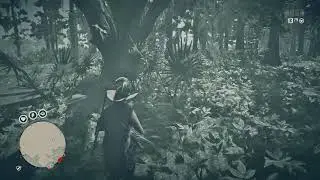RDR2 Online: Life-Cycle 3 Bird Egg Collectibles - Spoonbill Egg - Lagras