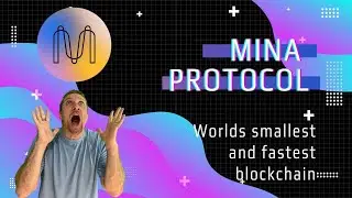 MINA PROTOCOL EXPLAINED: WORLD'S SMALLEST BLOCKCHAIN, NO BIGGER THAN A TWEET!  WHY IT CAN EXPLODE!!