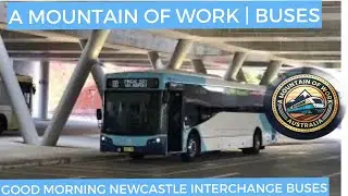 Good Morning Newcastle Interchange Buses | NSW | Buses