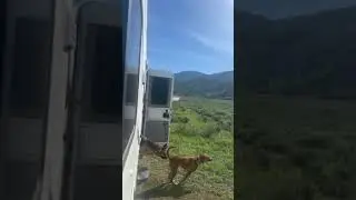 Video of Lake Creek Rd Dispersed, ID from Bethany W.