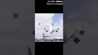 F&aring;gel/flygplan