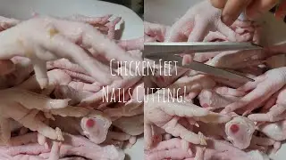 Cutting chicken feet nails! Satisfying cut ASMR!