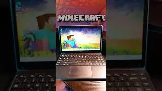 The 