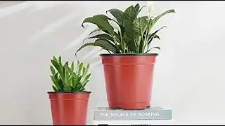 Top 10 Planter Nursery Pots You Can Buy  June 2023