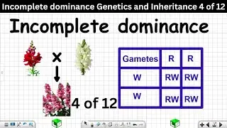Incomplete dominance Genetics and Inheritance Grade 12 Life Sciences 4 of 12