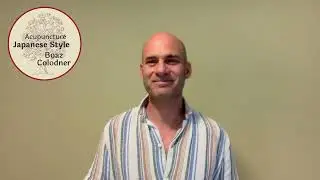 Acupuncture Japanese Style Vs Chinese acupuncture - Diagnosis