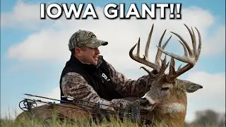 GIANT Iowa Buck!! | Rut Hunting Action | November Bowhunting