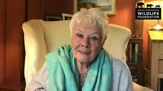 Virtual Wildlife Ball 2020 &ndash; An Invitation from Dame Judi Dench