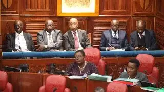 DEPUTY PRESIDENT RIGATHI GACHAGUA'S IMPEACHMENT TRIAL AT SENATE