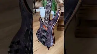 The PERFECT Bass for Left-Handed Players | The NEW Ibanez SRMS805L