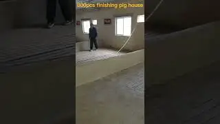 800pcs pig house