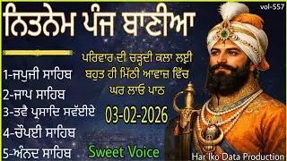3 February 2026 - Fast Nitnem | Nitnem Panj Bania | ਨਿਤਨੇਮ ਪੰਜ ਬਾਣੀਆ | ਨਿਤਨੇਮ | Nitnem |japji sahib