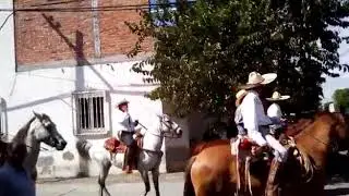 Moxco