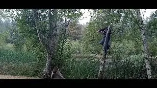Tree Climbing Fishermen No Boat NO Dock No Problem