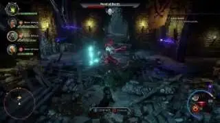 Dragon Age Inquisition - The Avvar Leader