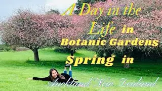 A Day in the Life in Botanic Gardens, Spring in Auckland New Zealand