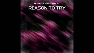 Dom Vegz & Max WoodZ - Reason To Try