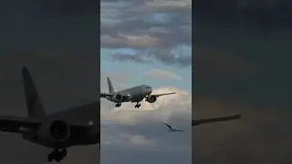 Boeing 777 touchdown moment  #aviation #landing #boeing777