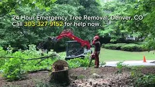 24 Hour Emergency Tree Removal - Denver, CO