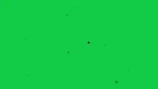 Dust & Scratches | Green Screen | For Aesthetic Editing | old film grain overlay | scratches