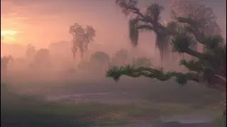 Evening in the South Carolina Low Country Marsh Ambient Soundscape