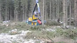 Delivery of a new forestry machine Eco Log 688E &ndash; Daylight harvesters service friendly cut to lenght