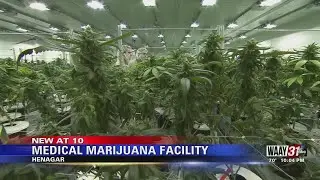 Medical Marijuana Facility