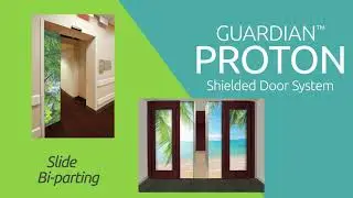 NELCO Guardian Proton Door