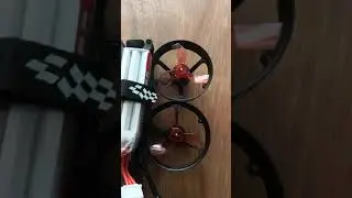 iFlight TurboBee 77R - Banggood order -  doent working