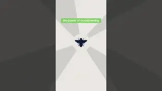 the power of crossbreeding🐝 #indiegames