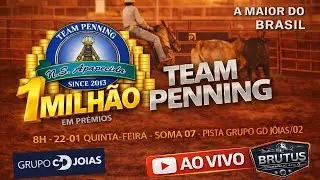 14&ordf; TEAM PENNING N.S APARECIDA PISTA 2 GRUPO GD JOIAS
