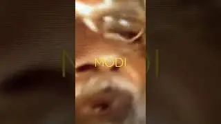MODIS  SPEECH  AT MUCHINTAL#