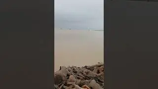 koshi nadi bekalal 😮😮😮 #bihar #koshi #baadh_ka_kahar #baadh #2025 #flood #maa #india #shorts #ganga