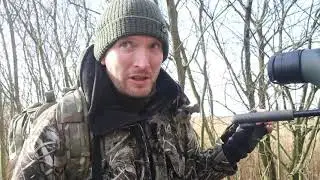 Birding and Beyond #2 Birding Somerset levels (Part 1)