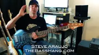 Wilkins Road Tested WRTJ5 Cayenne 5 String Bass Demo