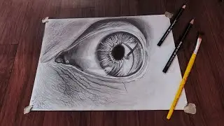 The Human Eye | Artomatic..