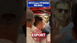 How to export Yarn from India? | International trade| Practically explained by Harsh Dhawan