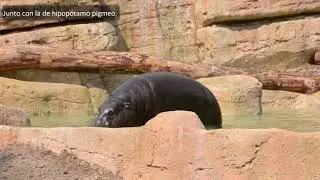 Recorrido por Río Safari Elche