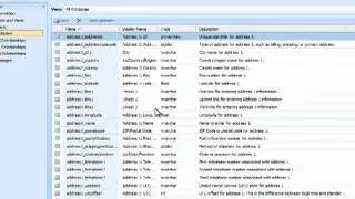 Add Lead Disqualify Reason To Microsoft CRM 4.0