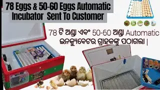 78 ଟି ଅଣ୍ଡା ଏବଂ 50-60 ଅଣ୍ଡା Automatic ଇନକ୍ୟୁବେଟର ଗ୍ରାହକଙ୍କୁ ପଠାଗଲା/78& 50-60Egg Automatic Incubator