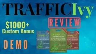 Traffic Ivy Full Review