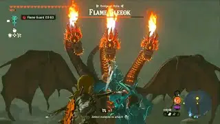 The Legend of Zelda: Tears of the Kingdom - Flame Gleeok Boss Fight
