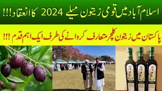 Olive Culture Gains Momentum In Pakistan With National Olive Gala 2024 In Islamabad