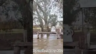 Cruising on the Murray River, Australia #travel #nature #mellbourne#world